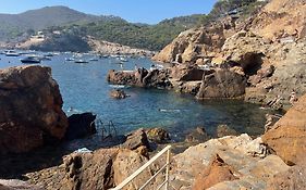 Apartment In Cap Sa Sal